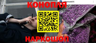 скорость Кузнецк