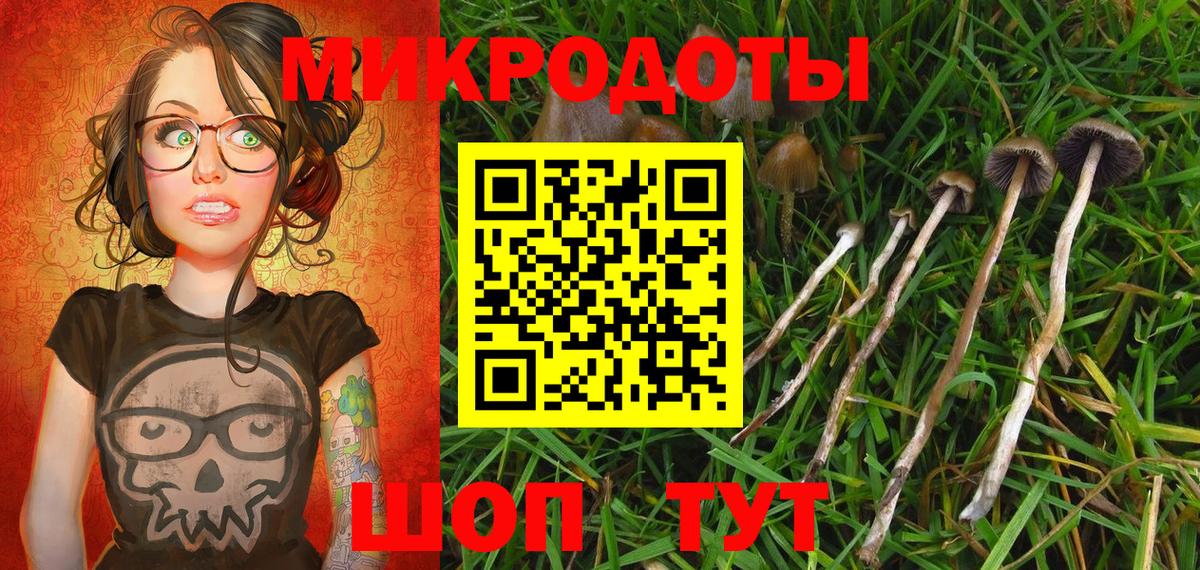 Галлюциногенные грибы Cubensis  Владивосток 